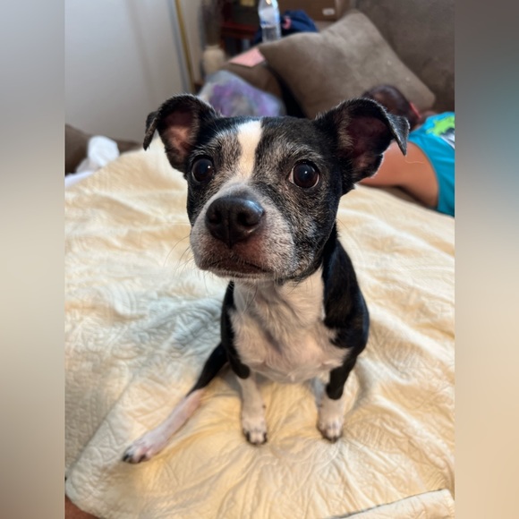 Meet your Posher, Healy - Picture 7 of 12